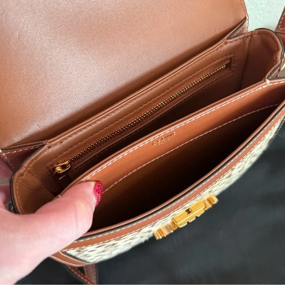 Celine Clea Limited Edition Leopard Print Pony Hair Calfskin Crossbody Bag - Picture 7 of 10